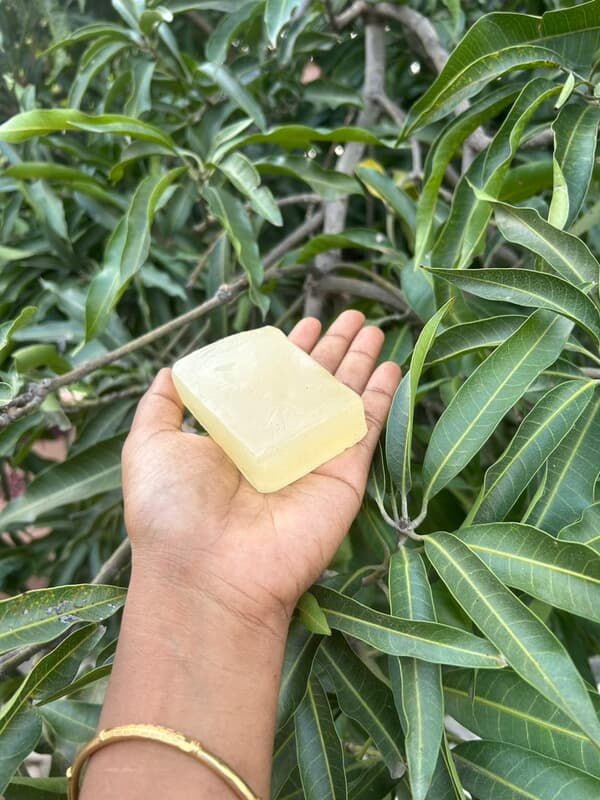 POTATO SOAP POTATO SOAP